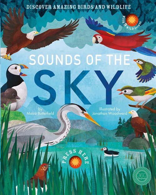 Sounds of the Sky (Hardcover)