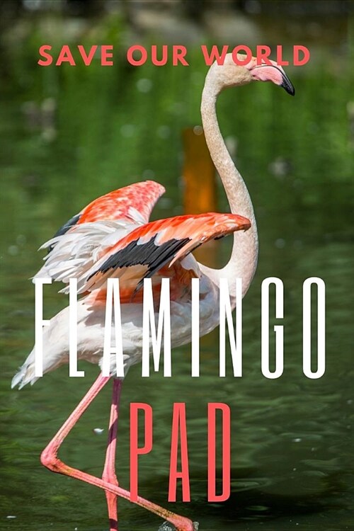 Flamingo Pad: 150 pages, Half Wide Ruled / Half Blank, hardy durable Matte cover. (Paperback)