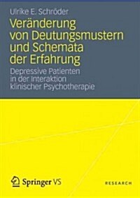 Ver?derung Von Deutungsmustern Und Schemata Der Erfahrung: Depressive Patienten in Der Interaktion Klinischer Psychotherapie (Paperback, 2012)