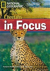 Cheetahs in Focus (Book with Multi-Rom): Footprint Reading Library 2200 (Paperback)