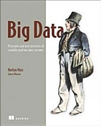 [중고] Big Data: Principles and Best Practices of Scalable Realtime Data Systems (Paperback)