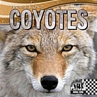 Coyotes (Library Binding)