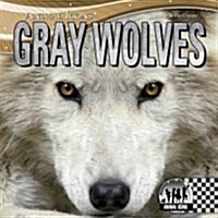 Gray Wolves (Library Binding)