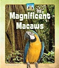 Magnificent Macaws (Library Binding)