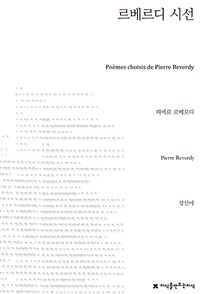 르베르디 시선 표지이미지