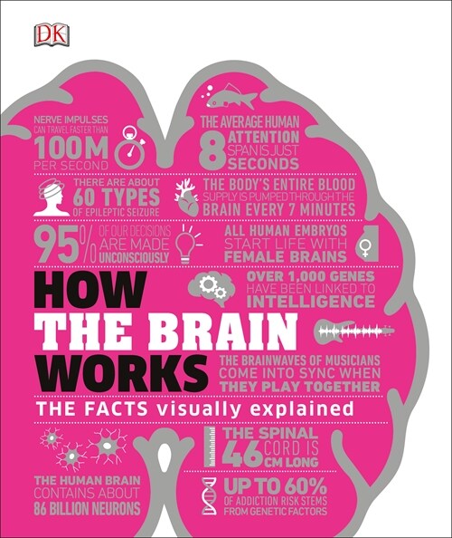 How the Brain Works : The Facts Visually Explained (Hardcover)