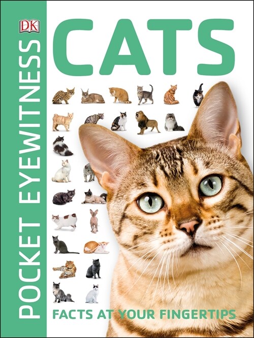 Cats : Facts at Your Fingertips (Paperback)
