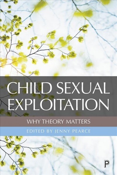 Child Sexual Exploitation: Why Theory Matters (Hardcover)