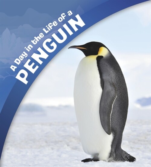 A Day in the Life of a Penguin (Paperback)