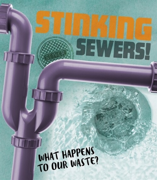 Stinking Sewers! : What happens to our waste? (Paperback)