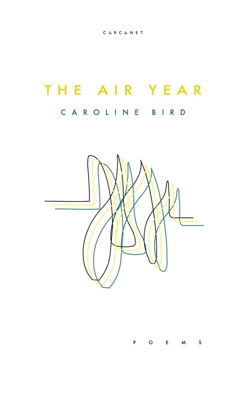 The Air Year (Paperback)