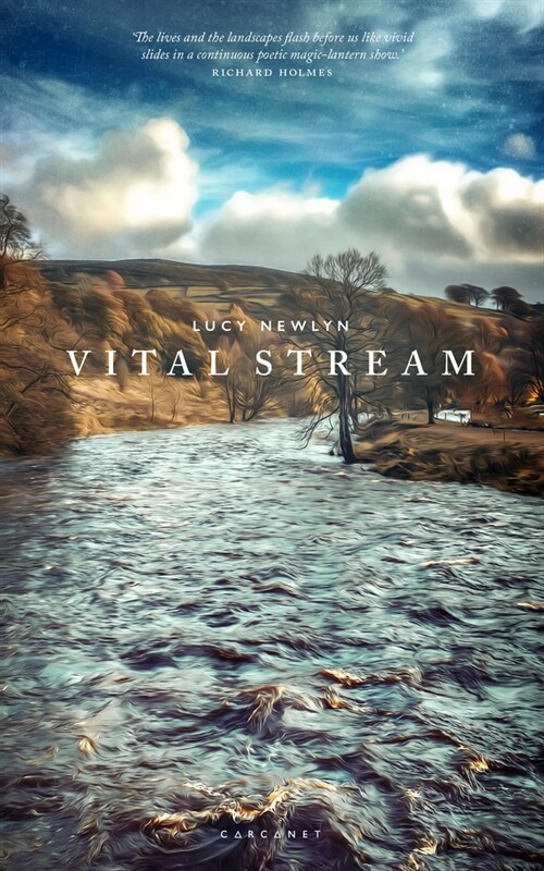 Vital Stream (Paperback)