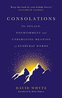 Consolations : The Solace, Nourishment and Underlying Meaning of Everyday Words (Hardcover, Main)