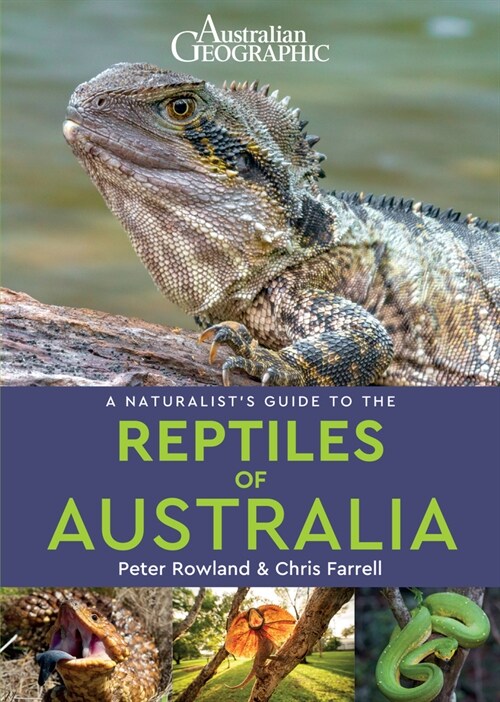 A Naturalists Guide to the Reptiles of Australia (2nd edition) (Paperback, 2 ed)