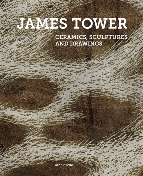 James Tower: Ceramics, Sculptures and Drawings (Hardcover)