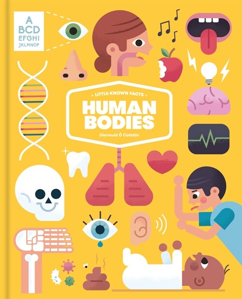 Little Known Facts: The Human Body (Hardcover)