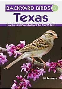 Backyard Birds of Texas (Paperback)