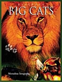 Discover Big Cats (Library Binding)