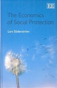 The Economics of Social Protection (Hardcover)