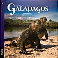 Galapagos (Hardcover, Bilingual)