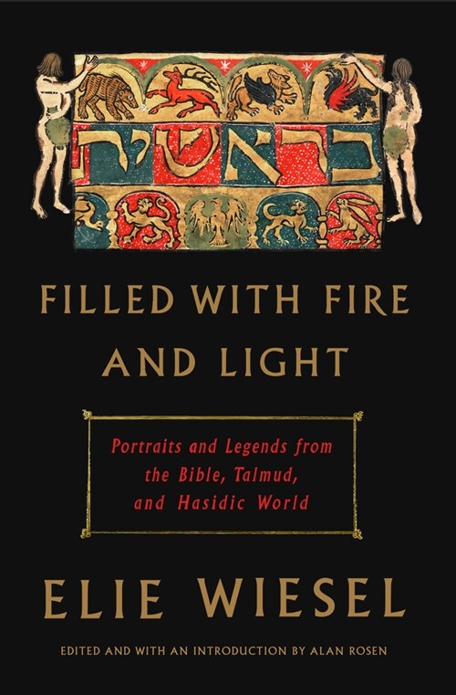 Filled with Fire and Light: Portraits and Legends from the Bible, Talmud, and Hasidic World (Hardcover)
