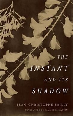 The Instant and Its Shadow: A Story of Photography (Paperback)