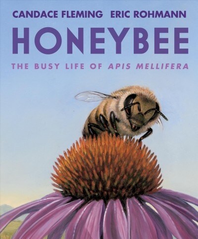 Honeybee: The Busy Life of APIs Mellifera (Hardcover)