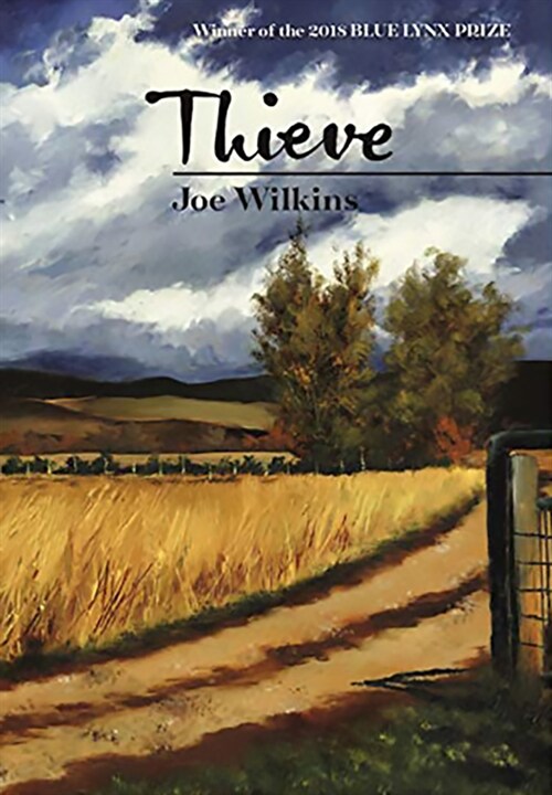 Thieve (Paperback)