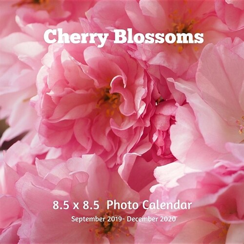 Cherry Blossoms 8.5 X 8.5 Calendar September 2019 -December 2020: Monthly Calendar with U.S./UK/ Canadian/Christian/Jewish/Muslim Holidays-Flowers Nat (Paperback)