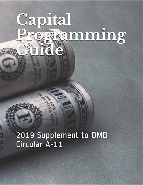 Capital Programming Guide: 2019 Supplement to OMB Circular A-11 (Paperback)