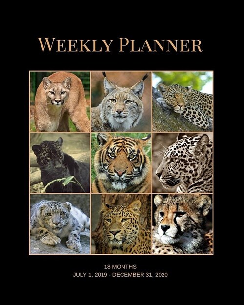 Weekly Planner: Big cats; 18 months; July 1, 2019 - December 31, 2020; 8 x 10 (Paperback)