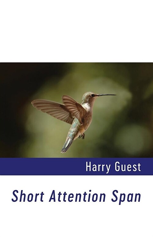 Short Attention Span (Paperback)