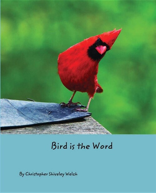 Bird is the Word (Paperback)