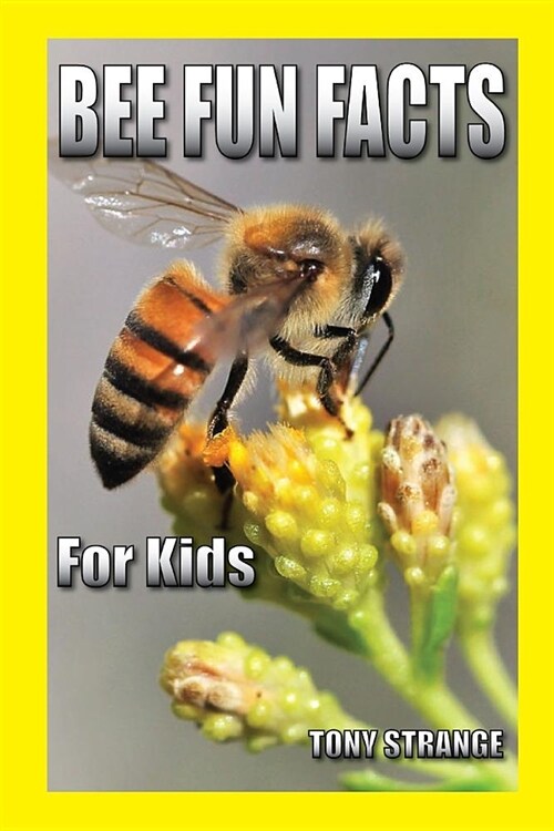 BEE FUN FACTS for KIDS: childrens science, interesting facts about animal (Paperback)