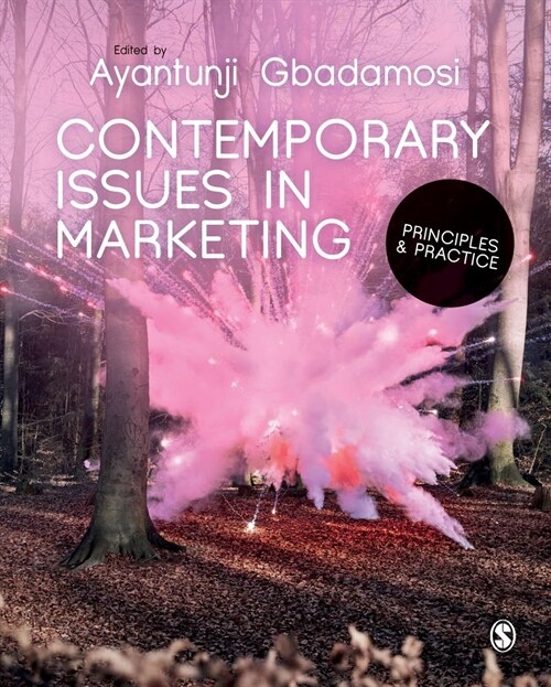 Contemporary Issues in Marketing : Principles and Practice (Hardcover)