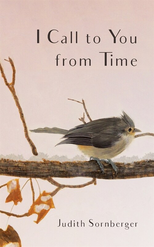 I Call to You from Time (Paperback)