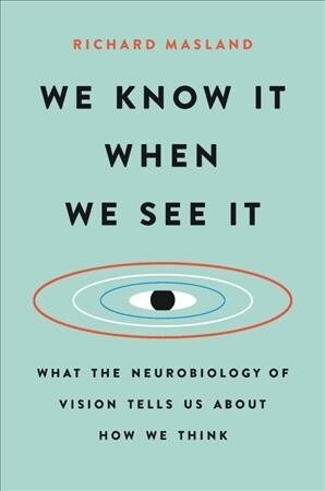 We Know It When We See It: What the Neurobiology of Vision Tells Us about How We Think (Hardcover)