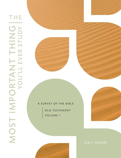 The Most Important Thing Youll Ever Study: A Survey of the Bible: Old Testament, Vol. 1 (Paperback)