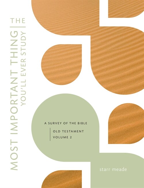 The Most Important Thing Youll Ever Study: A Survey of the Bible: Old Testament, Vol. 2 (Paperback)