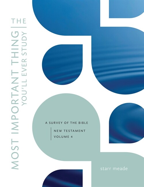 The Most Important Thing Youll Ever Study: A Survey of the Bible: New Testament, Vol. 4 (Paperback)