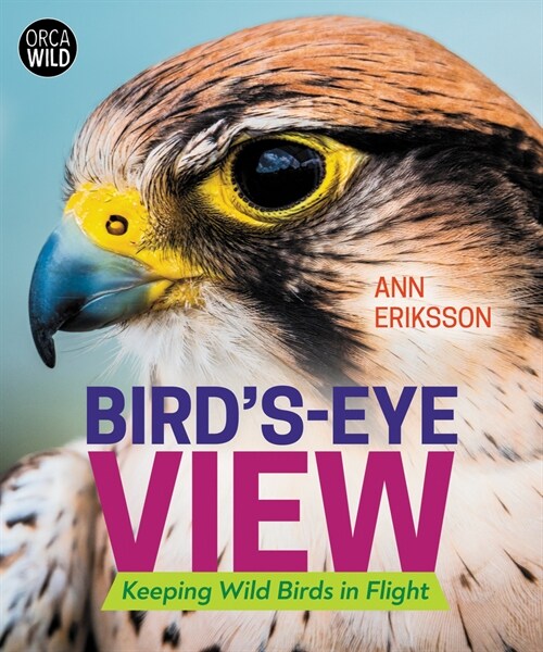 Birds-Eye View: Keeping Wild Birds in Flight (Hardcover)