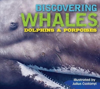 Discovering Whales, Dolphins and Porpoises: The Ultimate Guide to the Oceans Largest Mammals (Hardcover)