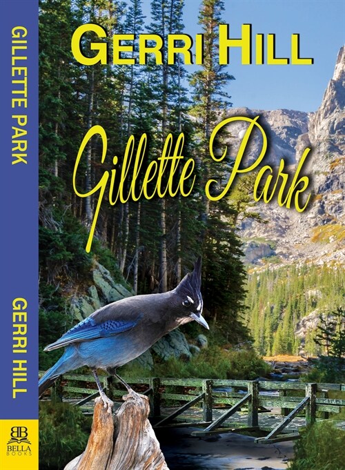 Gillette Park (Paperback)