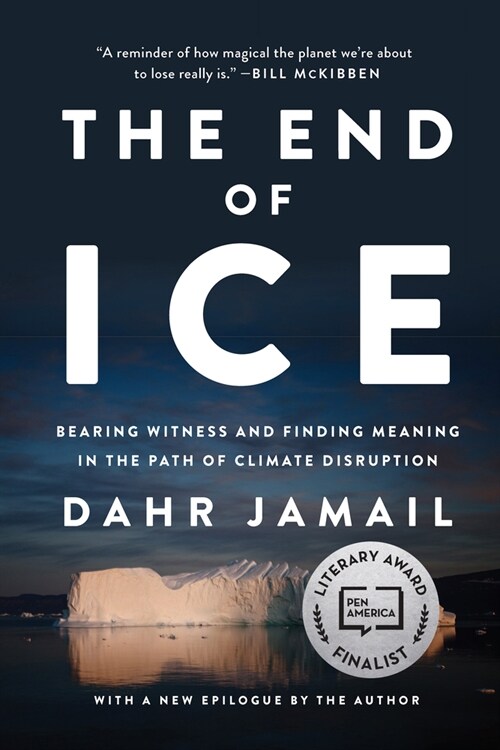 The End Of Ice (Paperback)