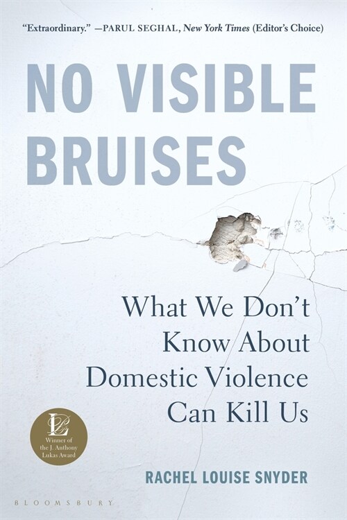 No Visible Bruises: What We Dont Know about Domestic Violence Can Kill Us (Paperback)