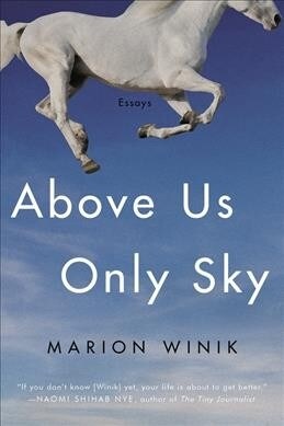 Above Us Only Sky: Essays (Paperback)