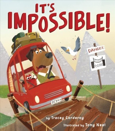 Its Impossible! (Hardcover)