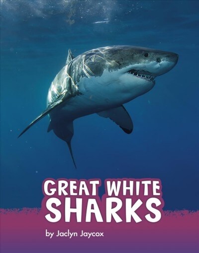 Great White Sharks (Paperback)