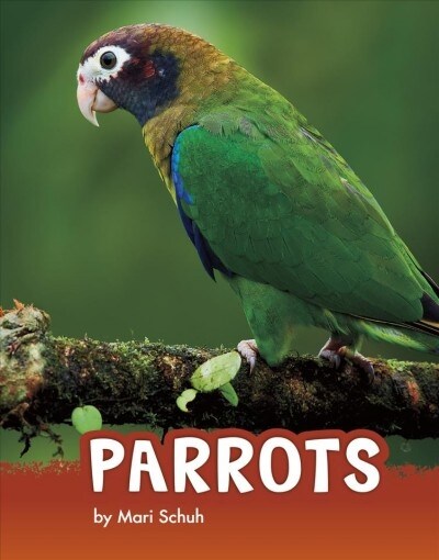 Parrots (Paperback)