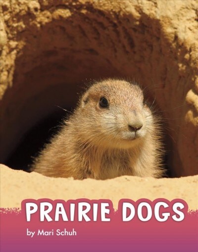 Prairie Dogs (Paperback)